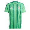 Goedkope Noord-Ierland Thuisshirt 2024